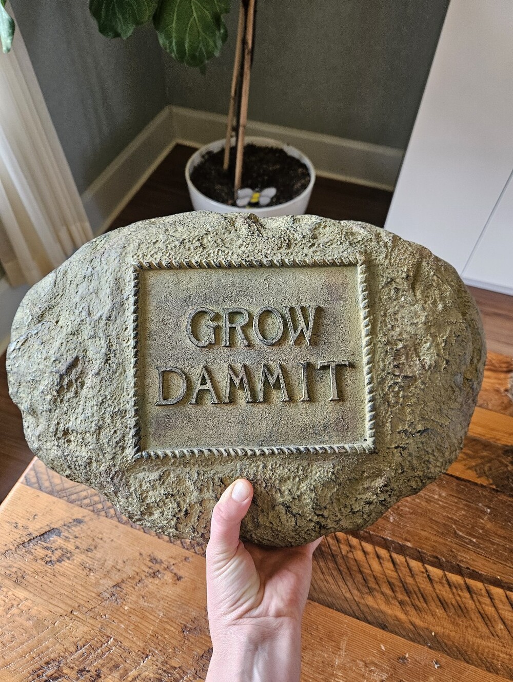 'Grow Dammit' Rock - Picture 3 of 3